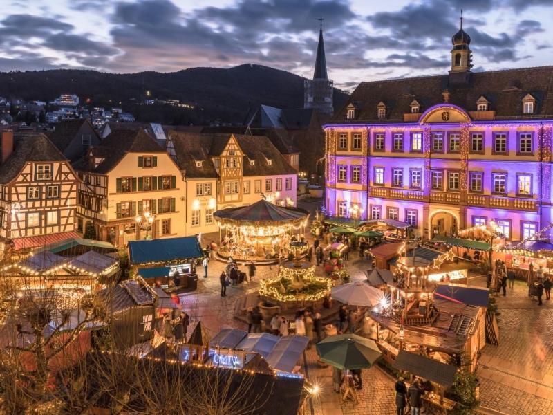 Pfaelzer Herzel Neustadt an der Weinstraße 外观 照片
